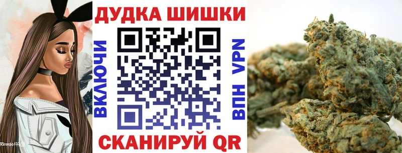 Бошки марихуана SATIVA & INDICA  что такое наркотик  Ликино-Дулёво 